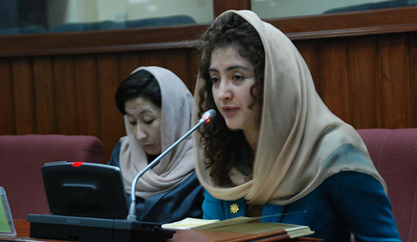 جرگه ملی زنان افغانستان از دهه تحول نگرانی دارند 