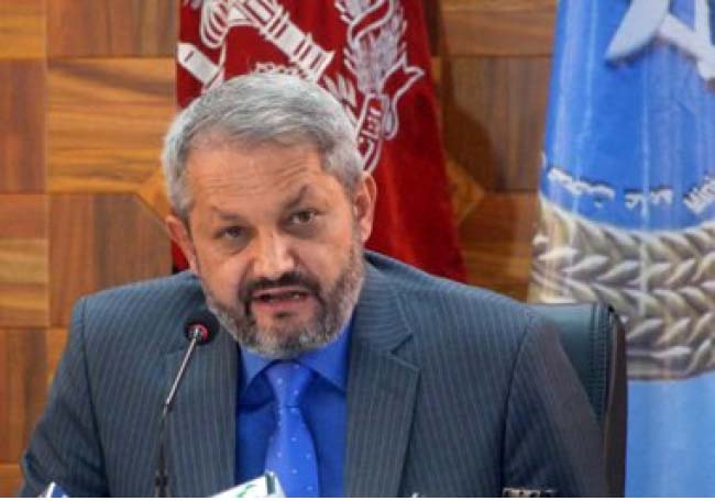 فیروز: 20 درصد افغانها به امراض روانی مبتلا هستند
