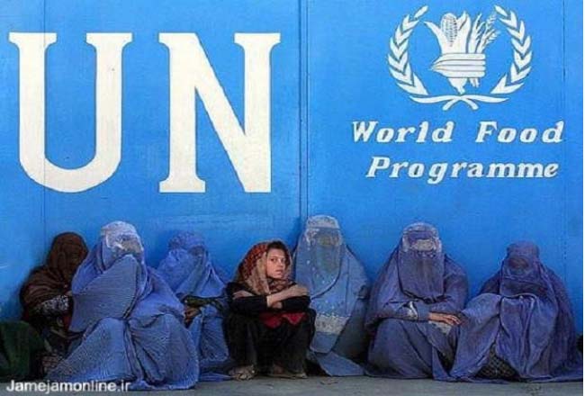 کارمندان سازمان ملل به فاریاب بازخواهند گشت