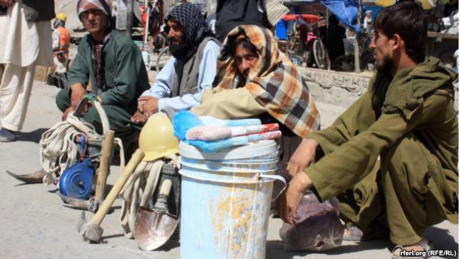  هشت میلیون جوان کشور در بی سرنوشتی به سر می برند