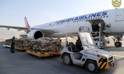 از طریق دهلیز هوایی ۵۰۰ تن جلغوزه به چین صادر شده است 