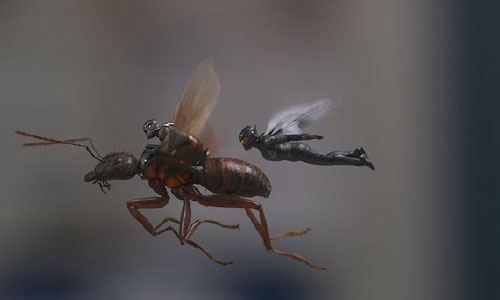 عبور فروش «مرد مورچه‌ای و زنبورک» از نیم میلیارد دالر