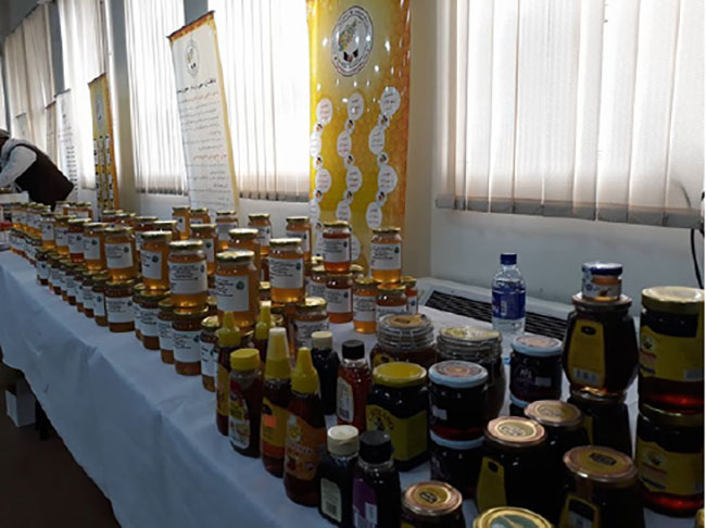 وزیر زراعت: تولید عسل در کشـور 24 درصد افزایش یافته است 
