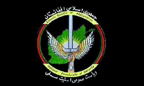 امنیت ملی:  9 عضو قطعه سرخ طالبان در غزنی کشته شدند