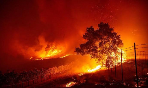 آتش‌سوزی کالیفرنیا؛ هزاران نفر مجبور به تخلیه شدند