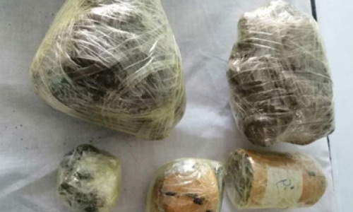 هفت قاچاقچی با 16 کیلوگرام مواد مخدر در هرات دستگیر شدند