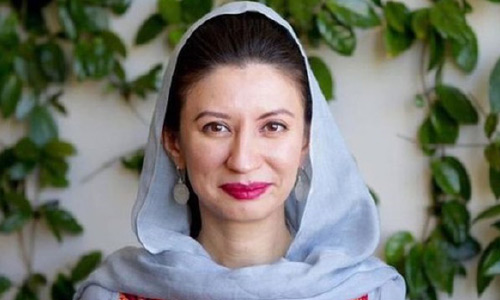 رئیس و اعضای جدید کمیسیون مستقل حقوق بشر افغانستان تعیین شدند 