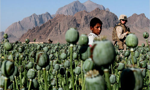  سیگار:  برنامه‌های مشترک امریکا و افغانستان در امر مبارزه با مواد مخدر ناکام بوده است