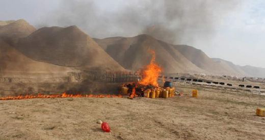 ده‌ها کیلوگرام مواد مخدر و مشروبات الکلی در بادغیس سوزانده شد