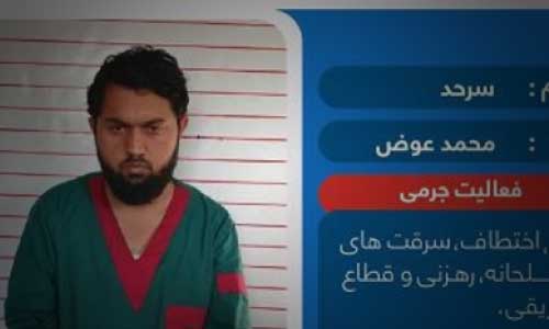 یک سرگروه شبکه جرم‌های سازمان یافته در کابل بازداشت شد