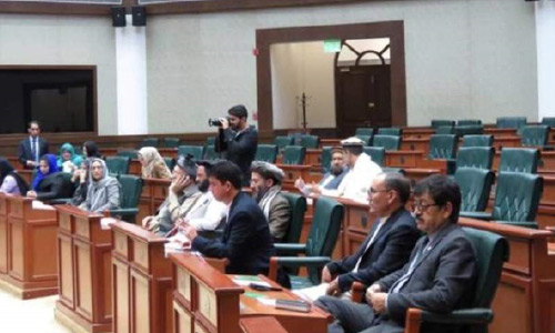 مجلس سنا خواستار بازداشت حلیم تنویر شد