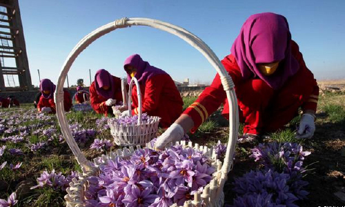 سنگینی توسعه اقتصادی بر دوش زنان افغانستان