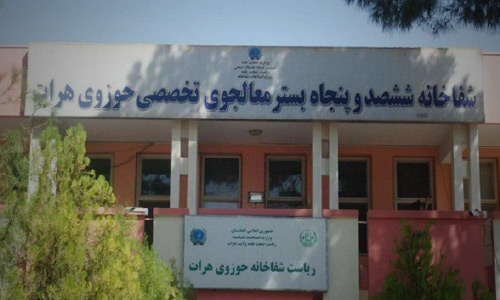 نخستین فرد مبتلا به کرونا در افغانستان، بهبود یافت