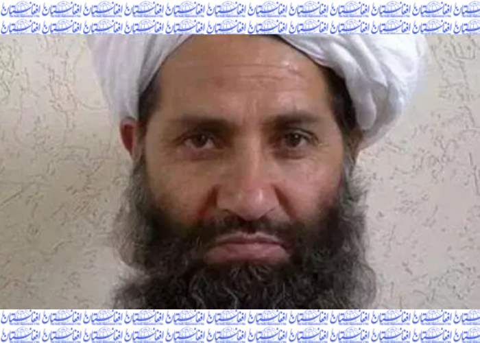 رهبر طالبان به امریکا هشدار داد که از توافقنامه دوحه سرپیچی نکند