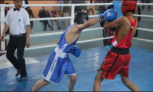رقابت‌های مشت‌زنی با حضور ۳۱۷ ورزشکار در کابل برگزار شد