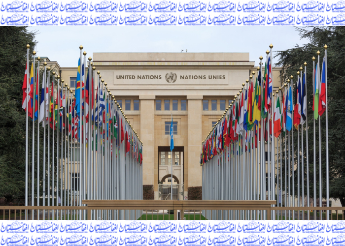 شورای امنیت سازمان ملل: دولت‌های عضو از افغانستان در مبارزه با تروریزم حمایت کنند