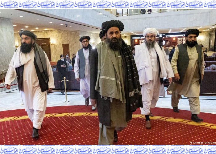 سناتوران:  طالبان با آغاز خروج خارجی‌ها حمله‌ها را افزایش داده‌اند