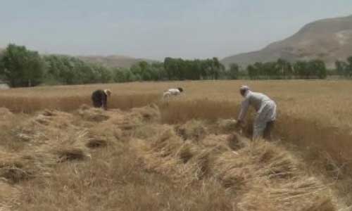 بانک توسعه آسیایی بسته جدید کمک‌ها برای افغانستان را اعلام کرد