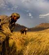 افغانستان به دو میلیون تن گندم وارداتی نیاز دارد