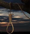 عفو بین الملل: افزایش پنجاه درصدی اعدام در خاورمیانه
