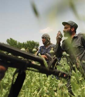 تلاش سازمان اکو برای مبارزه با مواد مخدر در افغانستان